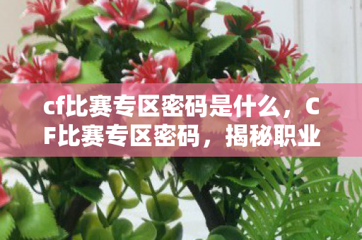 cf比赛专区密码是什么，CF比赛专区密码，揭秘职业选手背后的秘密