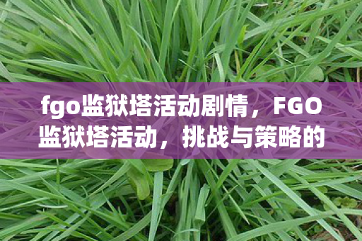 fgo监狱塔活动剧情图片