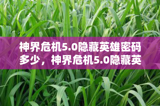 神界危机5.0隐藏英雄密码多少,神界危机5.0隐藏英雄,揭秘未知的英雄之旅 神界危机5.0隐藏英雄密码多少,神界危机5.0隐藏英雄,揭秘未知的英雄之旅