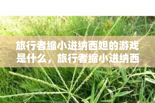 旅行者缩小进纳西妲的游戏是什么，旅行者缩小进纳西妲的NK，探索虚拟与现实的奇妙交汇