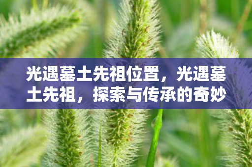 光遇墓土先祖位置,光遇墓土先祖,探索与传承的奇妙之旅 光遇墓土先祖位置,光遇墓土先祖,探索与传承的奇妙之旅