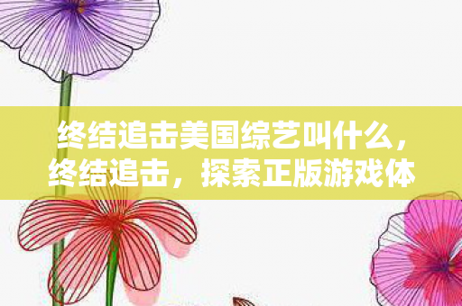 终结追击美国综艺叫什么,终结追击,探索正版游戏体验的无限可能 终结追击美国综艺叫什么,终结追击,探索正版游戏体验的无限可能