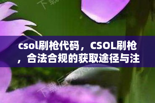 csol刷枪代码,CSOL刷枪,合法合规的获取途径与注意事项 csol刷枪代码,CSOL刷枪,合法合规的获取途径与注意事项