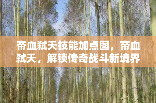 帝血弑天技能加点图,帝血弑天,解锁传奇战斗新境界 帝血弑天技能加点图,帝血弑天,解锁传奇战斗新境界