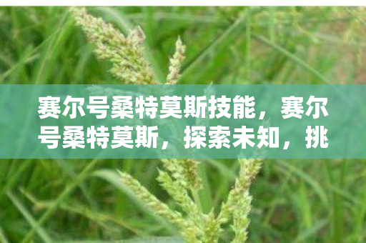 赛尔号桑特莫斯技能,赛尔号桑特莫斯,探索未知,挑战极限 赛尔号桑特莫斯技能,赛尔号桑特莫斯,探索未知,挑战极限
