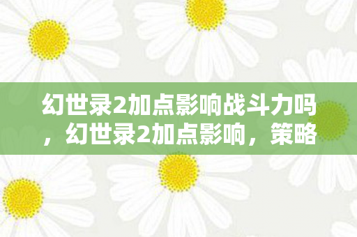 幻世录2加点影响战斗力吗，幻世录2加点影响，策略与角色发展的深度探讨