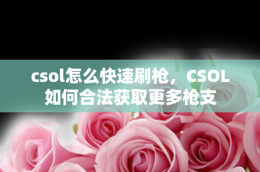 csol怎么快速刷枪,CSOL如何合法获取更多枪支 csol怎么快速刷枪,CSOL如何合法获取更多枪支
