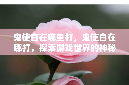 鬼使白在哪里打，鬼使白在哪打，探索游戏世界的神秘角落