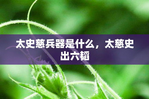 太史慈兵器是什么,太慈史出六韬 太史慈兵器是什么,太慈史出六韬