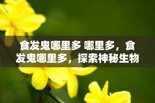 食发鬼哪里多 哪里多，食发鬼哪里多，探索神秘生物的真实踪迹