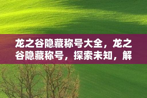 龙之谷隐藏称号大全,龙之谷隐藏称号,探索未知,解锁荣耀 龙之谷隐藏称号大全,龙之谷隐藏称号,探索未知,解锁荣耀