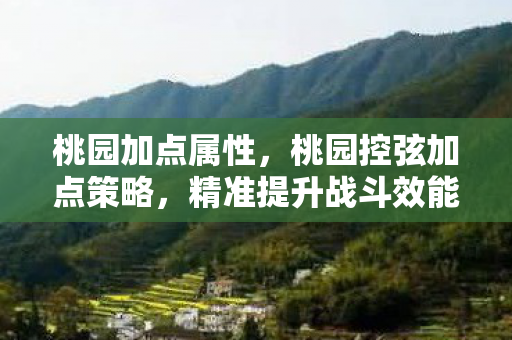 桃园加点属性,桃园控弦加点策略,精准提升战斗效能 桃园加点属性,桃园控弦加点策略,精准提升战斗效能
