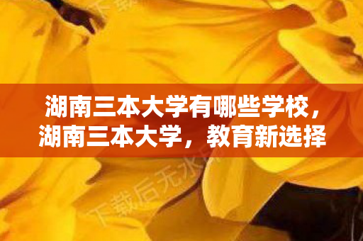 湖南三本大学有哪些学校,湖南三本大学,教育新选择,未来新希望 湖南三本大学有哪些学校,湖南三本大学,教育新选择,未来新希望