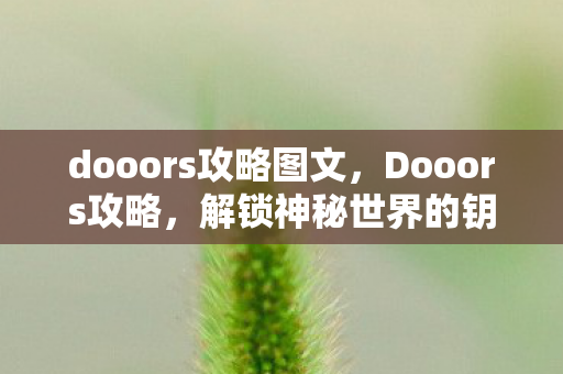 dooors攻略图文,Dooors攻略,解锁神秘世界的钥匙 dooors攻略图文,Dooors攻略,解锁神秘世界的钥匙