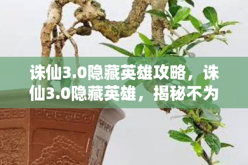 诛仙3.0隐藏英雄攻略,诛仙3.0隐藏英雄,揭秘不为人知的传奇角色 诛仙3.0隐藏英雄攻略,诛仙3.0隐藏英雄,揭秘不为人知的传奇角色