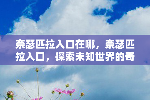 奈瑟匹拉入口在哪,奈瑟匹拉入口,探索未知世界的奇妙之旅 奈瑟匹拉入口在哪,奈瑟匹拉入口,探索未知世界的奇妙之旅