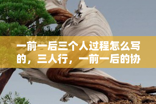 一前一后三个人过程怎么写的，三人行，一前一后的协作与成长
