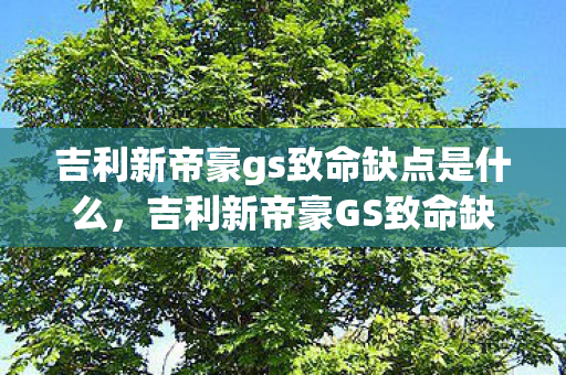 吉利新帝豪gs致命缺点是什么，吉利新帝豪GS致命缺点，细节决定成败