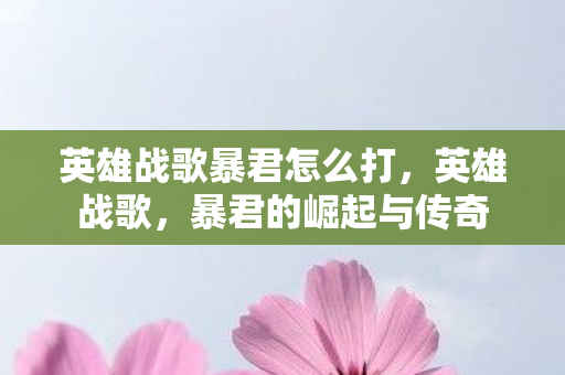 英雄战歌暴君怎么打，英雄战歌，暴君的崛起与传奇