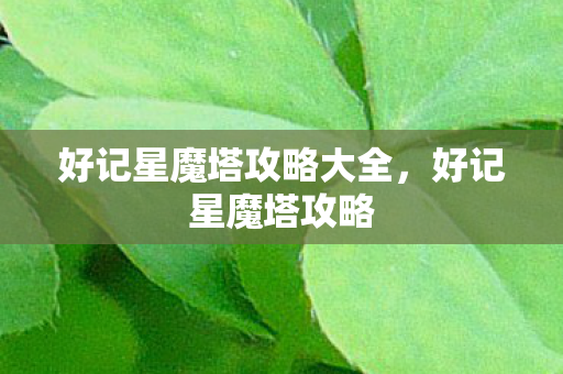 好记星魔塔攻略大全图片