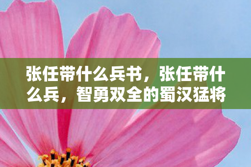 智勇双全的蜀汉猛将的军事策略图片