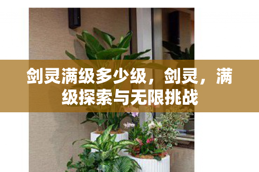 满级探索与无限挑战图片