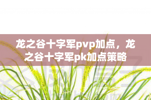 龙之谷十字军pvp加点，龙之谷十字军pk加点策略