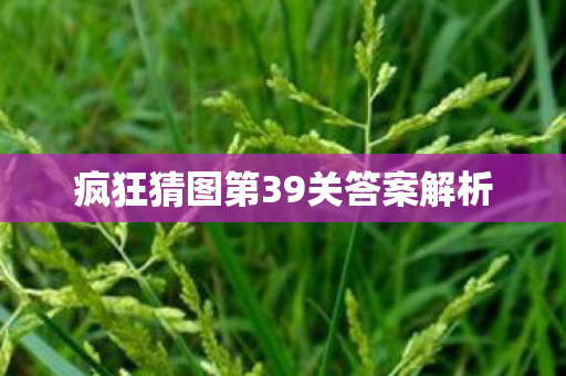疯狂猜图第39关答案解析 疯狂猜图第39关答案解析