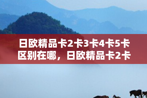 日欧精品卡2卡3卡4卡5卡区别在哪，日欧精品卡2卡3卡4卡5卡区别