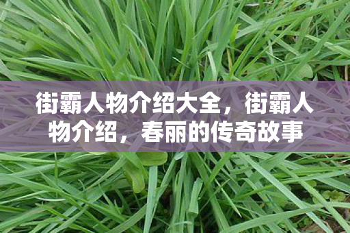 街霸人物介绍大全,街霸人物介绍,春丽的传奇故事 街霸人物介绍大全,街霸人物介绍,春丽的传奇故事