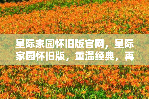 星际家园怀旧版官网,星际家园怀旧版,重温经典,再续前缘 星际家园怀旧版官网,星际家园怀旧版,重温经典,再续前缘
