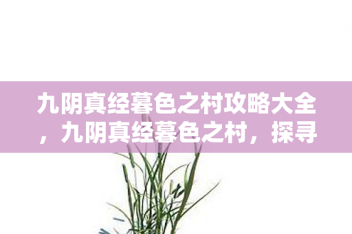 九阴真经暮色之村攻略大全，九阴真经暮色之村，探寻武侠世界的奇幻之旅