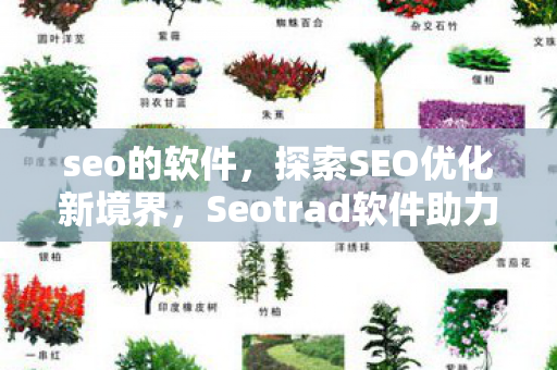 seo的软件,探索SEO优化新境界,Seotrad软件助力企业高效运营 seo的软件,探索SEO优化新境界,Seotrad软件助力企业高效运营