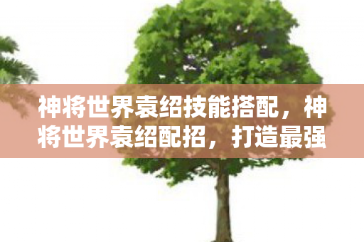 神将世界袁绍技能搭配，神将世界袁绍配招，打造最强阵容的攻略