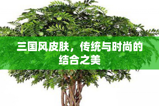 三国风皮肤，传统与时尚的结合之美