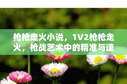 枪枪走火小说，1V2枪枪走火，枪战艺术中的精准与速度