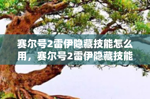 赛尔号2雷伊隐藏技能怎么用，赛尔号2雷伊隐藏技能，解锁未知力量的关键