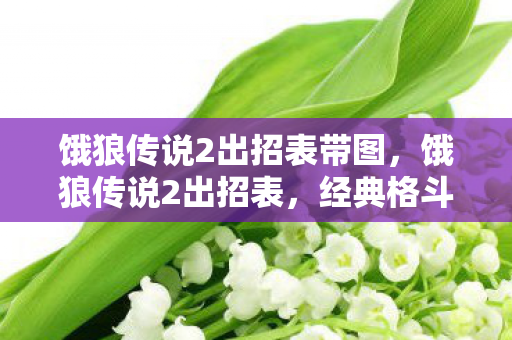 饿狼传说2出招表带图,饿狼传说2出招表,经典格斗游戏中的技巧与策略 饿狼传说2出招表带图,饿狼传说2出招表,经典格斗游戏中的技巧与策略