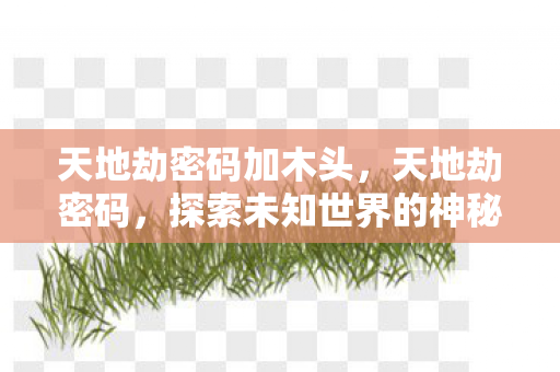 天地劫密码加木头，天地劫密码，探索未知世界的神秘钥匙