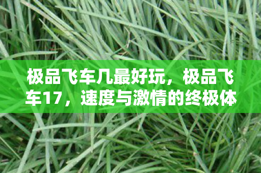 极品飞车几最好玩，极品飞车17，速度与激情的终极体验