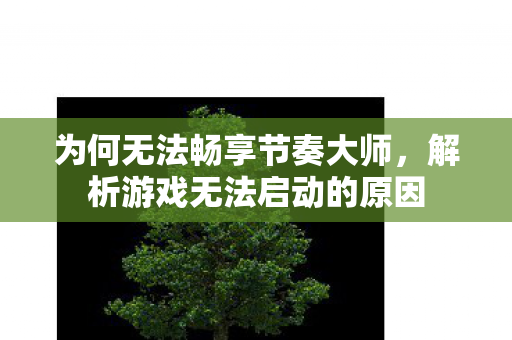 为何无法畅享节奏大师，解析游戏无法启动的原因