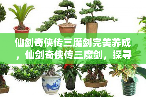 仙剑奇侠传三魔剑完美养成,仙剑奇侠传三魔剑,探寻经典背后的传奇故事 仙剑奇侠传三魔剑完美养成,仙剑奇侠传三魔剑,探寻经典背后的传奇故事