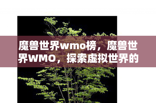 魔兽世界wmo榜，魔兽世界WMO，探索虚拟世界的奇妙之旅