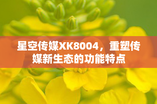 星空传媒XK8004，重塑传媒新生态的功能特点
