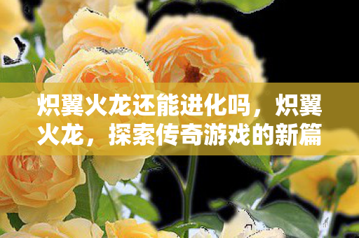 炽翼火龙还能进化吗，炽翼火龙，探索传奇游戏的新篇章