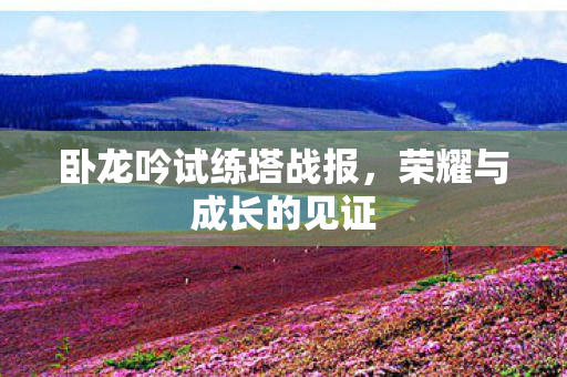 卧龙吟试练塔战报，荣耀与成长的见证