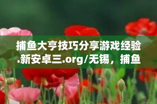 捕鱼大亨技巧分享游戏经验.新安卓三.org/无锡,捕鱼大亨技巧,提升捕鱼效率与赢率的策略 捕鱼大亨技巧分享游戏经验.新安卓三.org/无锡,捕鱼大亨技巧,提升捕鱼效率与赢率的策略