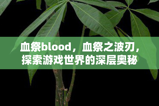 血祭blood,血祭之波刃,探索游戏世界的深层奥秘 血祭blood,血祭之波刃,探索游戏世界的深层奥秘