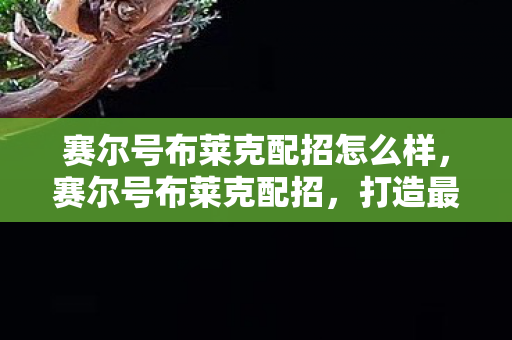 赛尔号布莱克配招怎么样，赛尔号布莱克配招，打造最强战斗阵容