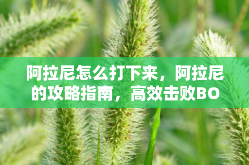 阿拉尼怎么打下来,阿拉尼的攻略指南,高效击败BOSS的实战策略 阿拉尼怎么打下来,阿拉尼的攻略指南,高效击败BOSS的实战策略